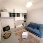 Rent 2 bedroom apartment of 50 m² in Biella