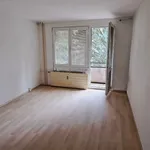 Rent 2 bedroom apartment in Pelhřimov