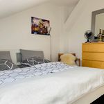 Miete 1 Schlafzimmer wohnung von 42 m² in Dresden