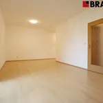 Rent 1 bedroom apartment of 45 m² in Brno