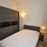 Rent 1 bedroom apartment in Brussel