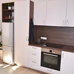 Rent 1 bedroom apartment of 40 m² in Brno