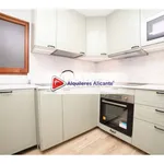 Alquilo 4 dormitorio apartamento de 145 m² en Alicante