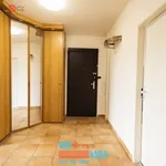 Rent 3 bedroom apartment of 70 m² in Praha