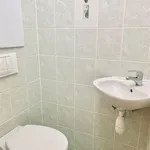 Rent 4 bedroom apartment of 76 m² in Tišnov