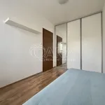 Rent 2 bedroom apartment of 32 m² in Brno