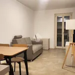 Rent 2 bedroom apartment of 55 m² in Brescia