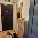 Rent 1 bedroom apartment in Craiova