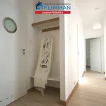 Rent 4 bedroom apartment of 54 m² in Poznan