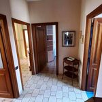 Affittasi Appartamento, Frascati centrale appartamento balconato con ascensore - Annunci Frascati (Roma) - Rif.561349
