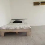 Rent 1 bedroom apartment in Olomouc