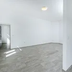 Rent 2 bedroom apartment of 70 m² in Hradec Králové