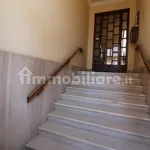 Rent 2 bedroom apartment of 55 m² in Turin