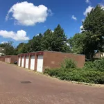 Rent 1 bedroom house of 17 m² in Middelburg