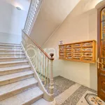 Rent 1 bedroom apartment of 35 m² in Torino