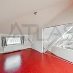 Rent 5 bedroom apartment of 311 m² in Prague