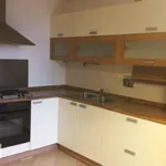 Rent 2 bedroom apartment of 50 m² in Rome