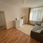 Rent 1 bedroom apartment of 34 m² in Warsaw