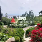 Rent 1 bedroom apartment of 32 m² in Αρτέμιδα