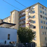 Rent 3 bedroom apartment of 85 m² in Graz