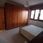 Rent 3 bedroom apartment of 90 m² in Niscemi