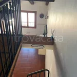 Rent 3 bedroom apartment of 81 m² in Budrio