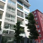 Affitto 5 camera appartamento di 181 m² in Milano