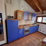 Rent 2 bedroom apartment of 46 m² in Bologna