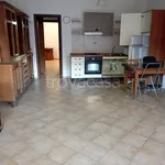 Rent 2 bedroom apartment of 63 m² in Colonna