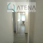 Affitto 3 camera appartamento di 81 m² in padova