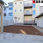 Rent 1 bedroom apartment of 35 m² in Brno