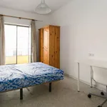 Alquilar 4 dormitorio apartamento en Granada