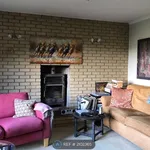 Rent 4 bedroom house in South East England