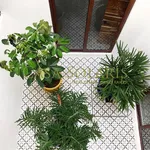 Rent 2 bedroom apartment in Guanajuato