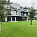 Rent 1 bedroom apartment in Waregem