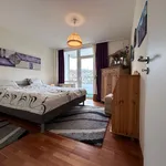 Miete 2 Schlafzimmer wohnung von 53 m² in Bad Soden-Salmünster