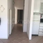 Rent 4 bedroom apartment of 85 m² in Massa