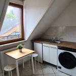 Rent 1 bedroom apartment of 55 m² in Mannheim