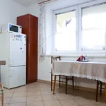 Rent 1 bedroom apartment of 45 m² in Brno