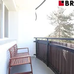 Pronajměte si 3 ložnic/e byt o rozloze 55 m² v Brno