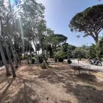 Rent 6 bedroom house of 320 m² in Messina