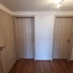 Rent 2 bedroom apartment of 58 m² in Brno