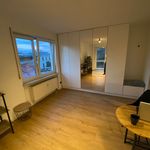 Rent 1 bedroom apartment of 30 m² in Dresden