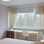 Louez une chambre de 100 m² à Ixelles - Elsene