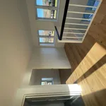 Rent 5 bedroom apartment of 243 m² in Aalborg