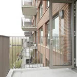 Rent 2 bedroom apartment of 85 m² in Rotterdam