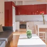 Rent 1 bedroom apartment in madrid