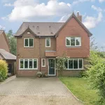 Rent 4 bedroom house in Winchester