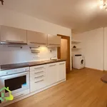 Rent 1 bedroom apartment in Kladno