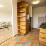 Pronajměte si 3 ložnic/e byt o rozloze 70 m² v Prague